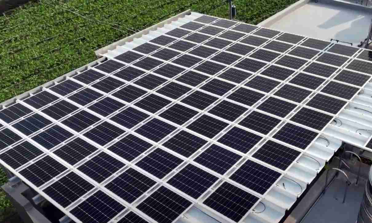 PG国际SunSteel光电浪板升级双玻结构，，以提升机械负载强度及气候耐候度，，可广泛运用于多元场域